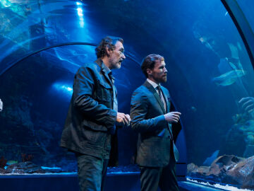 Luis, incapaz de adaptarse a Tenerife, se ve envuelto en un asesinato en un acuario que podría estar ligado a un viejo e importante caso Luis, incapaz de adaptarse a Tenerife, se ve envuelto en un asesinato en un acuario que podría estar ligado a un viejo e importante caso